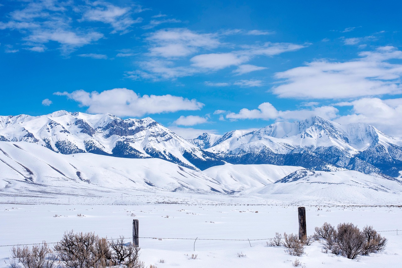 Rural Idaho landscape with mountains and ranch fence